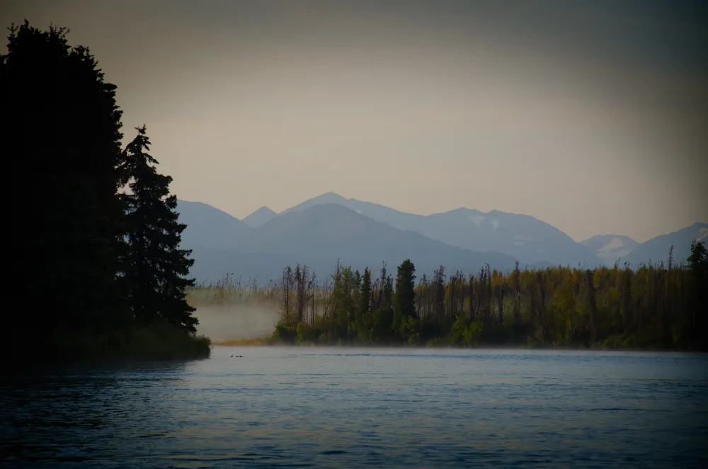 Guide netting rainbow trout on the Lower Kenai River