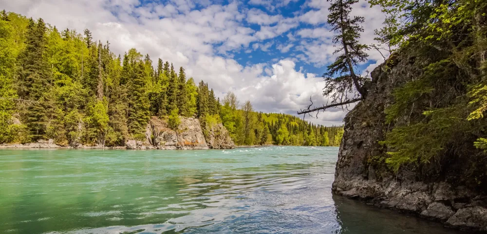 Kenai fishing guide trip photo 3