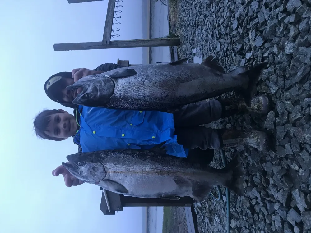 Kasilof River king salmon fly fishing