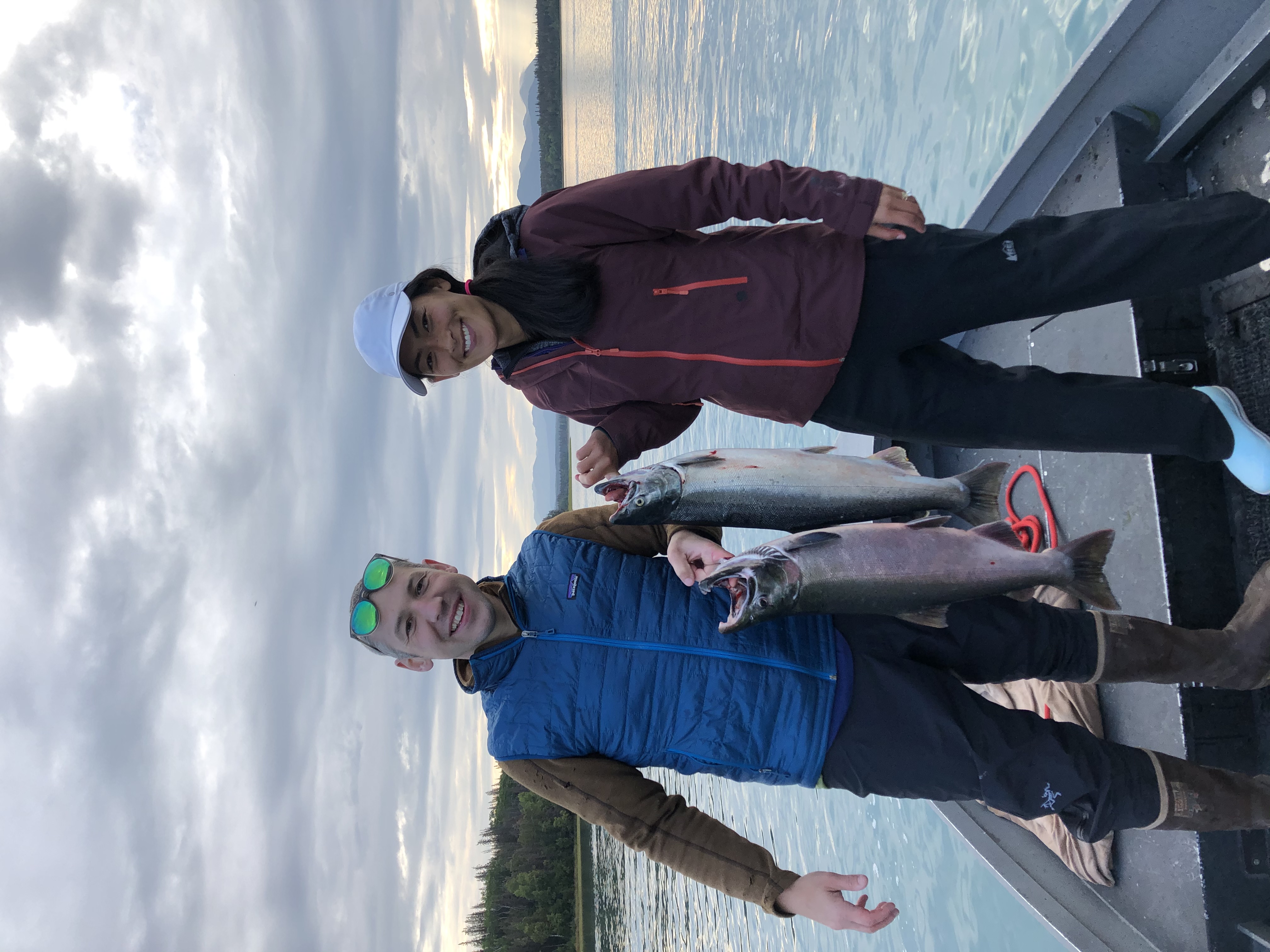 Kenai River Silver Salmon Run Timing 2026